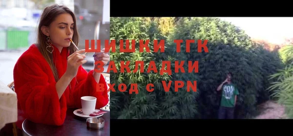 гидропоника Горняк