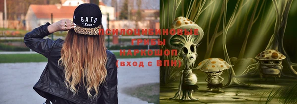 spice Горно-Алтайск