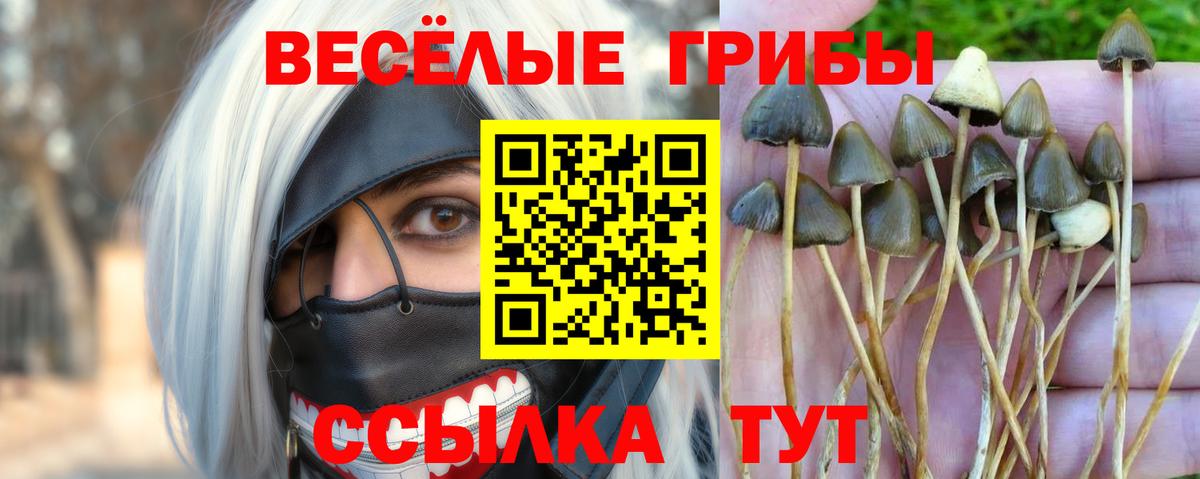 Галлюциногенные грибы мухоморы  Вход с VPN  Галлюциногенные грибы ЛСД  Похвистнево 